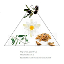 Panier des Sens Oliva hand cream 75 ml