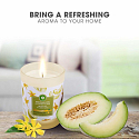 Air Wick Essential Oils White Melon & Ylang Ylang - White melons and ylang ylang scented candle glass 185 g