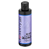 Professional Hair Care Destivii Silver Shampoo for Blonde Hair 200 ml