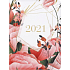 Albi Diary 2021 weekly Darts 17 x 12.5 x 1.2 cm