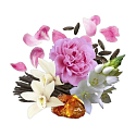 Compagnia Delle Indie 13 Peony and Amber eau de parfum for women 75 ml