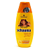 Schauma Intense Oil Nourishing Hair Shampoo 250 ml