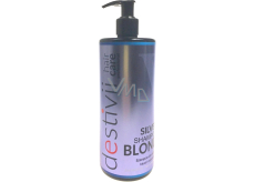 Professional Hair Care Destivii Silver Blond shampoo for blond hair 500 ml