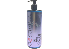 Professional Hair Care Destivii Silver Blond Shampoo for Blonde Hair 500 ml
