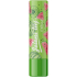 Regina Watermelon lip pomade - deer tallow 4,5 g