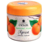 Cyclax Nature Pure Apricot Face Scrub 300 ml