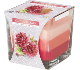 Bispol Cactus Flower - Cactus flower tricolor scented candle glass, burning time 32 hours 170 g