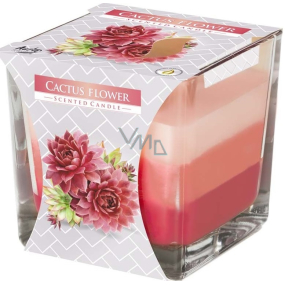 Bispol Cactus Flower - Cactus flower tricolor scented candle glass, burning time 32 hours 170 g
