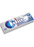 Wrigleys Orbit White Classic chewing gum without sugar dragees 10 pieces 14 g
