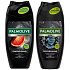 Palmolive Men Energising 3in1 shower gel for men 250 ml + Men Refreshing 3in1 shower gel for body, face and hair 250 ml, 18 pieces carton