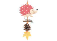 Wooden hedgehog with cone for hanging red 9 x 20 cm