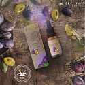Regina plum oil for skin, skin and hair relieves feelings of dryness, freshness and irritation 20 ml