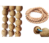 Lotus Bodhi natural lotus necklace 1 piece, bead 9.5 mm - peace, blessing