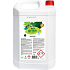 Real Green Clean Dishwashing Liquid, 5 l