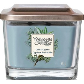 Yankee Candle Coastal Cypress Elevation medium glass 3 wicks 347 g