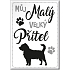 Nekupto Pets magnet Dog 66 x 90 x 2 mm