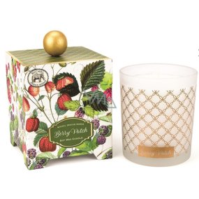 Michel Design Works Forest fruits Soy handmade scented candle in glass 397 g