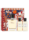 Hermes Terre D Hermes toaletní voda pro muže 50 ml + sprchový gel 40 ml + voda po holení 40 ml, dárková sada pro muže