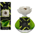 Lady Venezia Luxury Fiori di Bergamotto - Bergamot flowers aroma diffuser with flower for gradual release of fragrance 100 ml