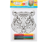 Ditipo Tiger painting by numbers A4 + crayons, age 3+