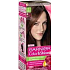 Garnier Color & Shine hair color 5.0 light maroon