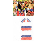 Sheet of Tattoo Stickers for Face and Body Russia Flag 2 Hearts 1 Design