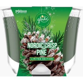 Glade by Brise Nordic Crisp Pine with the scent of pine, juniper and mistletoe scented large candle in a glass, burning time up to 52 hours 224 g