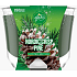 Glade by Brise Nordic Crisp Pine with the scent of pine, juniper and mistletoe scented large candle in a glass, burning time up to 52 hours 224 g