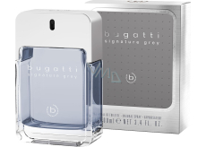 Bugatti Signature Grey Eau de Toilette for men 100 ml
