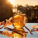 Coach Gold Parfum parfém pro ženy 50 ml