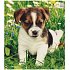 Press Plastic bag 45 x 50 cm Puppy/Dog 1 piece