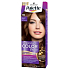 Schwarzkopf Palette Intensive Color Creme Hair Color H6 Honey Brown