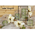 Lima Wellness Present Pine forest aroma candle green cylinder 70 x 150 mm 1 piece - damaged
