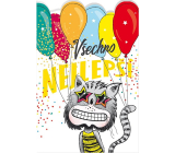 Nekupto Birthday wish Cat with balloons 115 x 170 mm