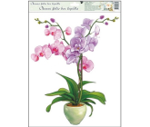 Window foil without orchid glue light pink 42 x 30 cm