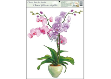 Room Decor Okenní fólie bez lepidla orchideje světle růžová 42 x 30 cm