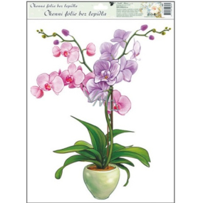 Window foil without orchid glue light pink 42 x 30 cm