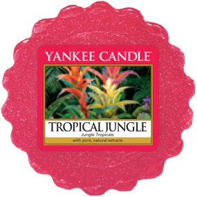 Yankee Candle Tropical Jungle - Tropical jungle scented wax for aroma lamp 22 g