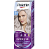 Schwarzkopf Palette Intensive Color Creme Hair Dye Cool Silver Blonde 10-19