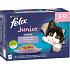 Felix Fantastic Junior pouches for cats selection in jelly, 12× 85 g