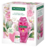 Palmolive Alluring Love Soft Rose & Peony Shower Gel 500 ml + Happy Roll-On Antiperspirant 50 ml + Gua Sha Facial Massage Tool, Cosmetic Set for Women