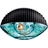 Kenzo World Collectors Edition EdP 50 ml Women's scent water Tester