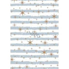Ditipo Gift wrapping paper 70 x 200 cm White blue-gray stripes and gold stars