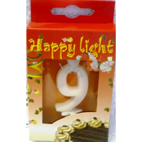 Happy light Birthday candle number 9 in a box