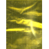 Nekupto Cellophane bag 20 x 35 cm gold
