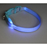 B&F Collar Strap Light Blue 1.5 x 28 - 38 cm