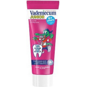 Vademecum Junior Strawberry toothpaste for children from 6 years 75 ml
