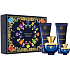 Versace Dylan Blue pour Femme eau de parfum for women 100 ml + body lotion 100 ml + shower gel 100 ml + eau de parfum 5 ml, gift set for women