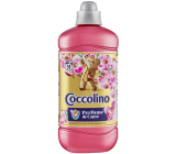 Coccolino Creations Honeysuckle & Sandalwood concentrated fabric softener 51 doses 1,275 l