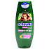 Schauma Push-Up for a larger volume of hair balm 200 ml